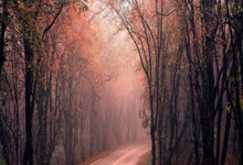 天涯论坛牛元帅：一个被网络选中的平凡人